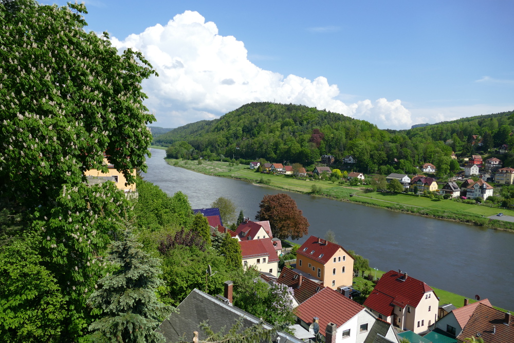 Malerweg #1 - Die Elbe bei Wehlen