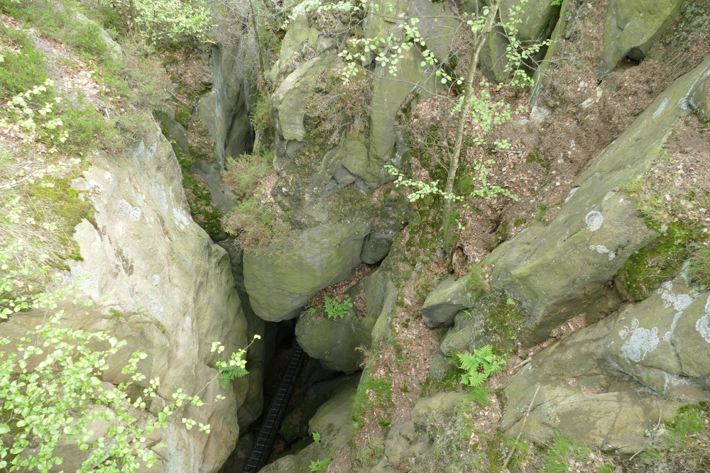 Malerweg #2 - Blick in die Wolfsschlucht (unten geht der Weg weiter)