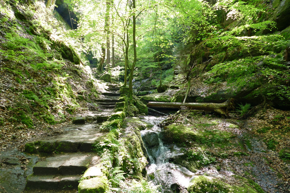 Malerweg #3 - Aufstieg nach Hohnstein