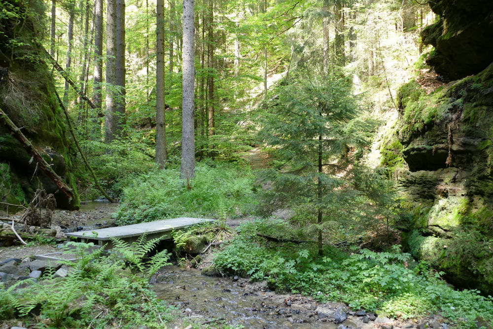 Malerweg #3 - Abstieg nach Kohlmühle