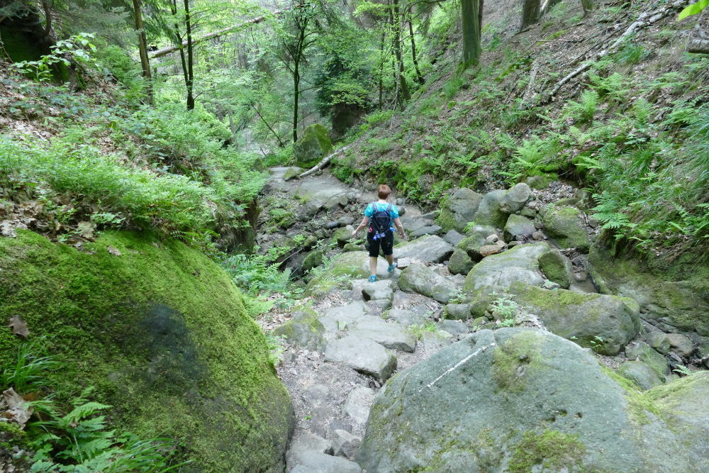Malerweg #3 - In der Dorfbachklamm
