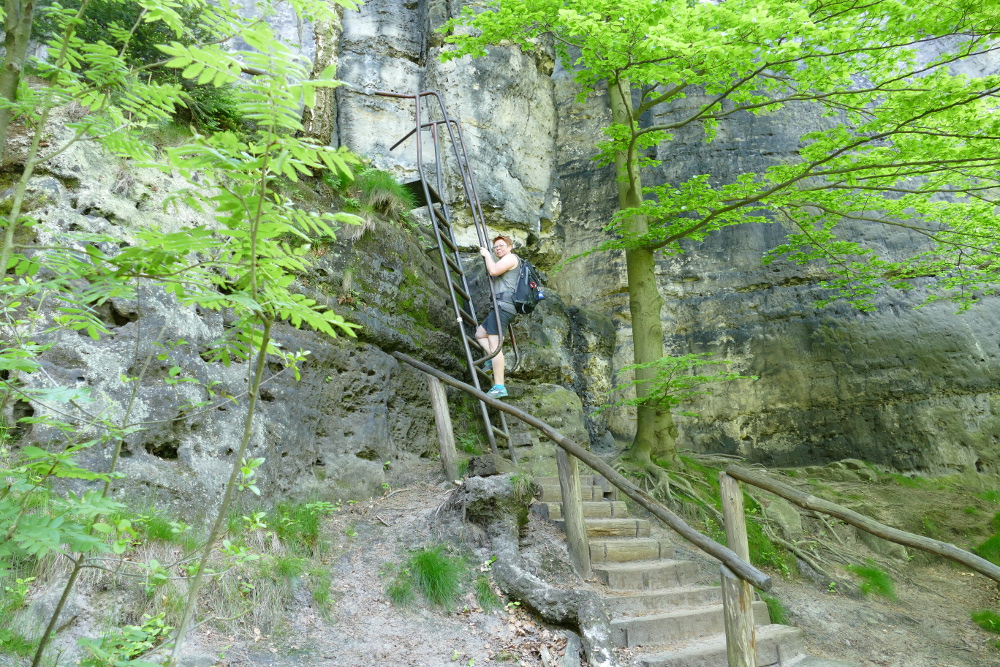 Malerweg #4 - Auf dem Jägersteig