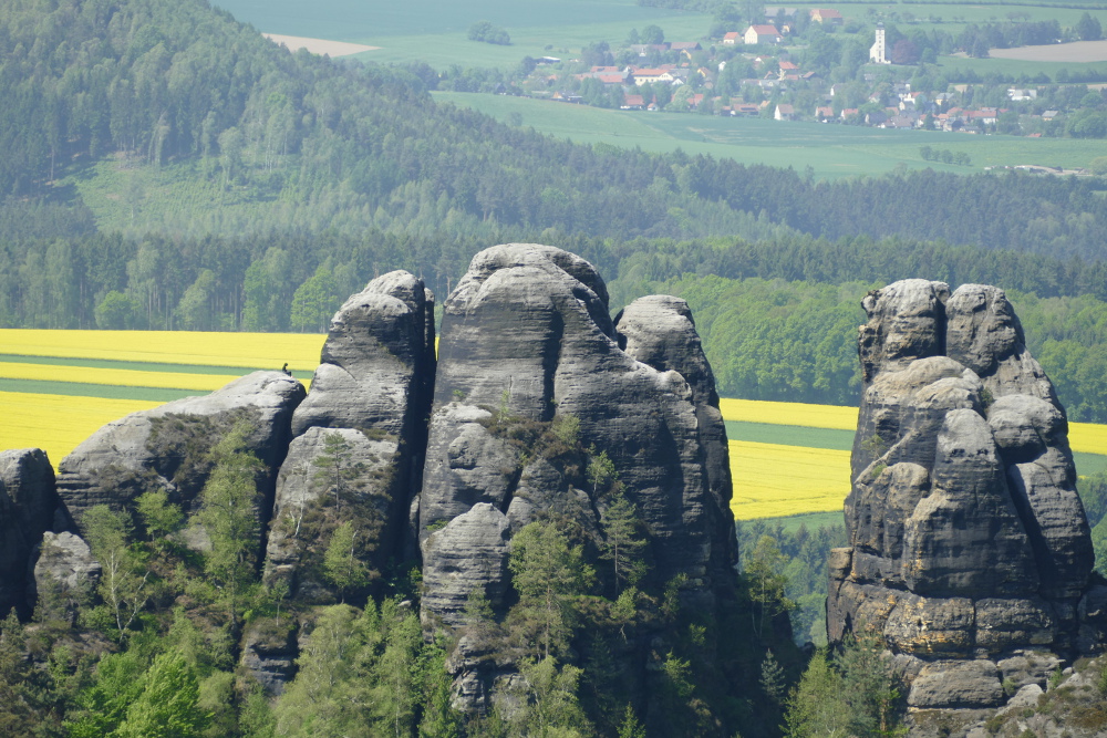 Malerweg #4 - Die Schrammsteine