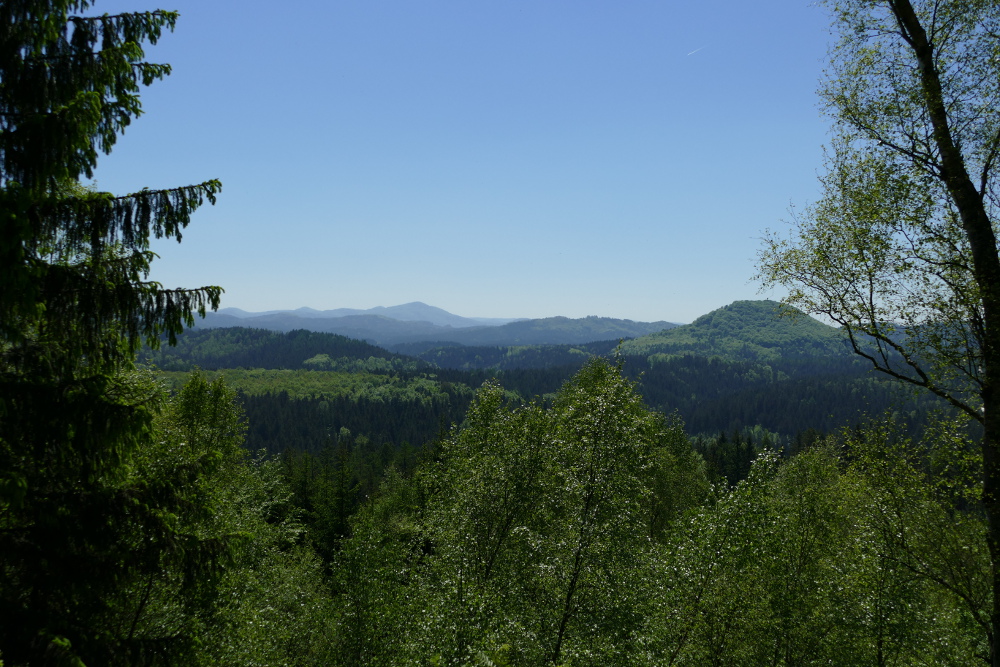 Malerweg #5 - Ausblick vom Großen Pohlshorn