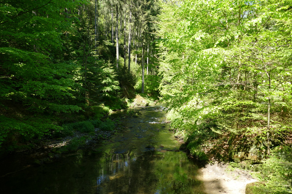 Malerweg #5 - Im Kirnitzschtal
