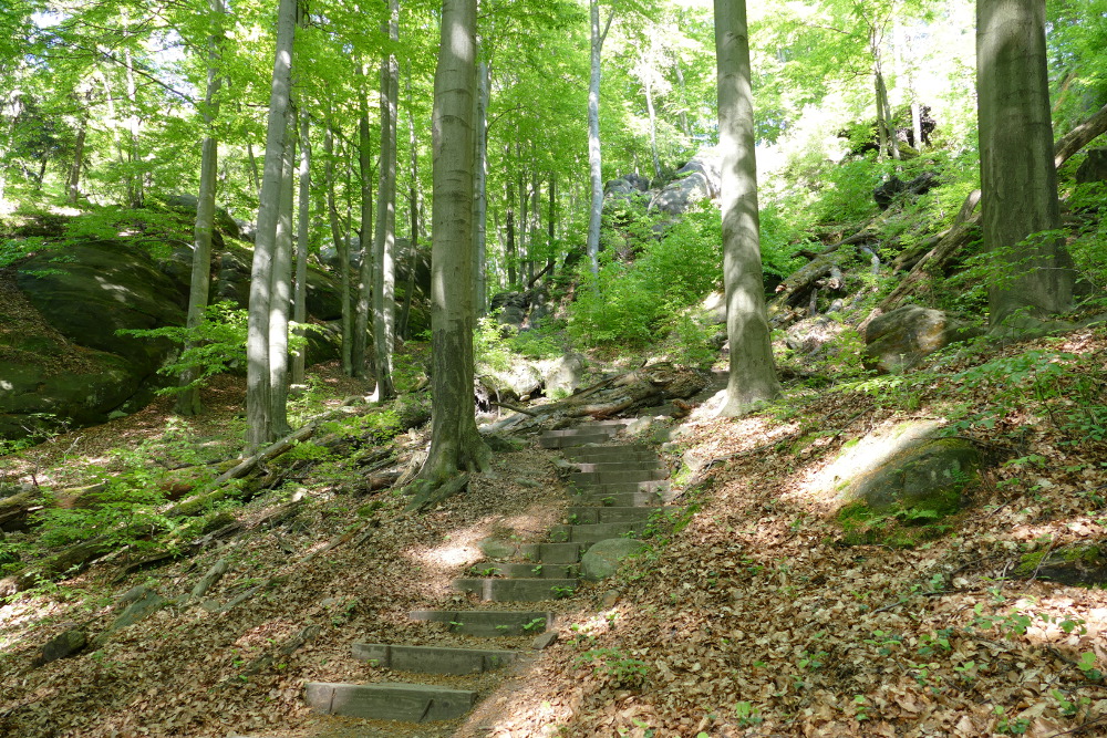 Malerweg #5 - Abstieg nach Schmilka