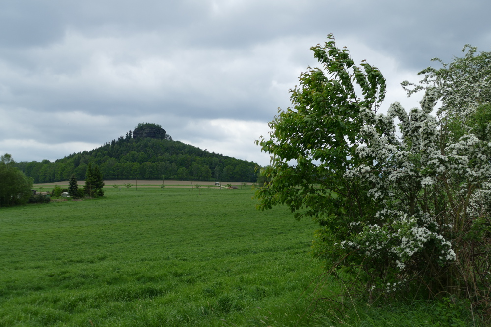 Malerweg #6 - Der Zirkelstein