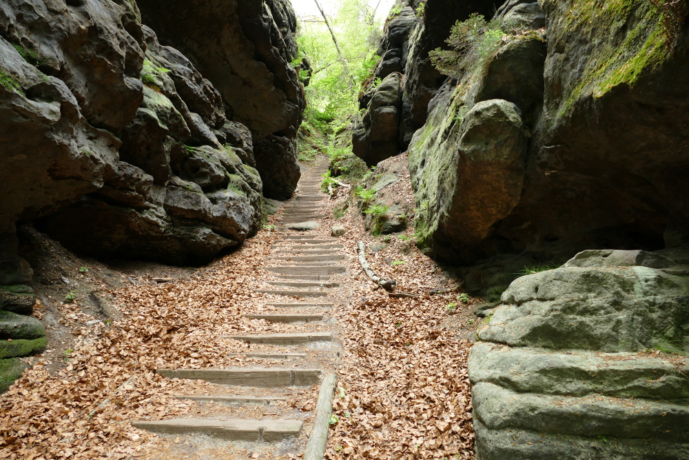 Malerweg #6 - Aufstieg zum Papststein