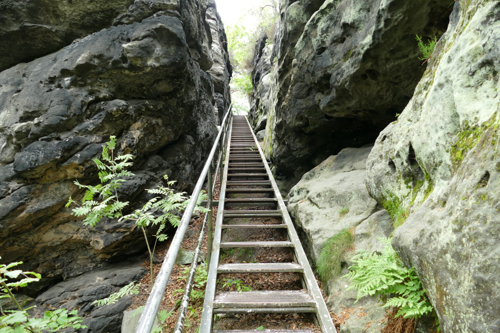 Malerweg #6 - Hinauf zum Gohrisch