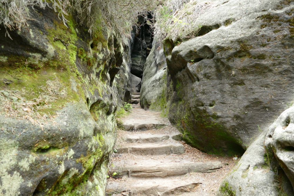 Malerweg #6 - Auf dem Gohrisch
