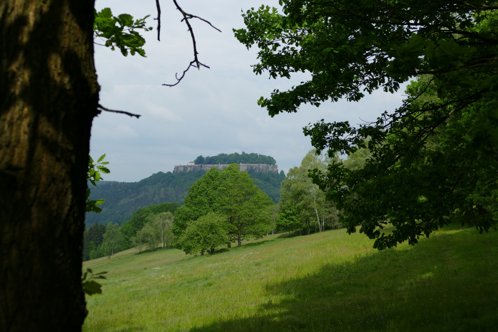 Malerweg #7 - Königstein