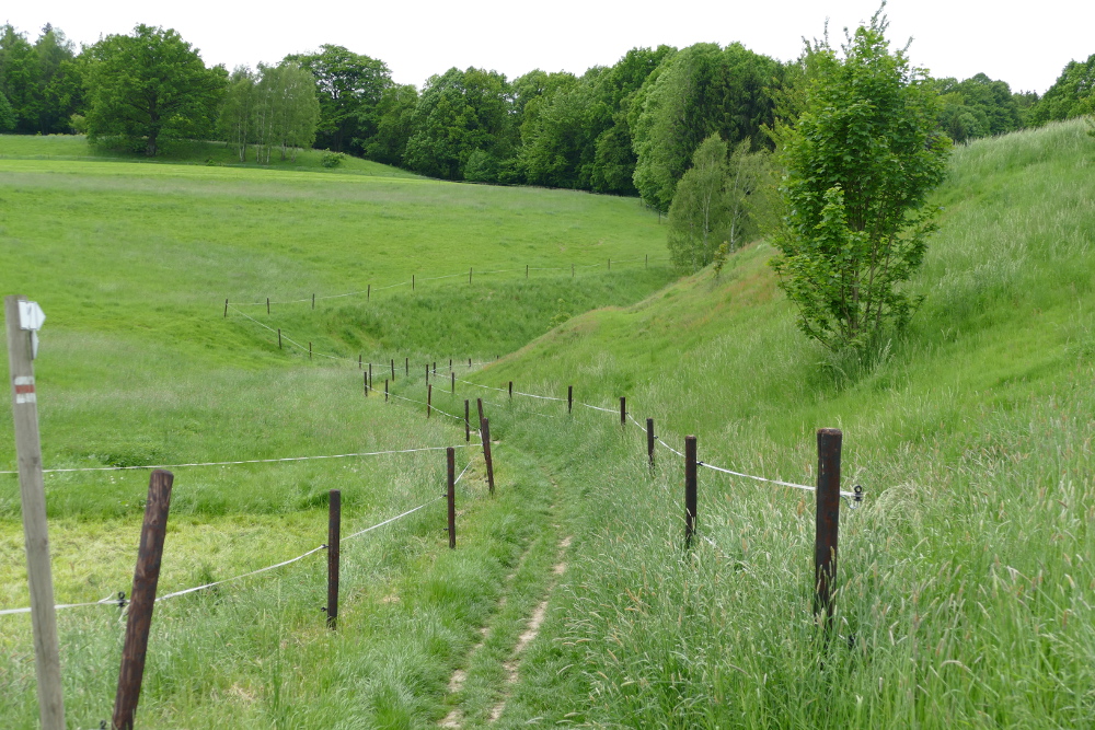 Malerweg #8 - Wiesenweg nach Naundorf
