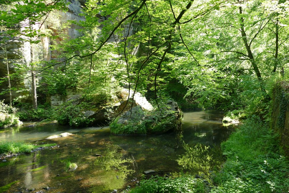 Prebischtor und Kamnitzklamm - In der Kamnitzklamm