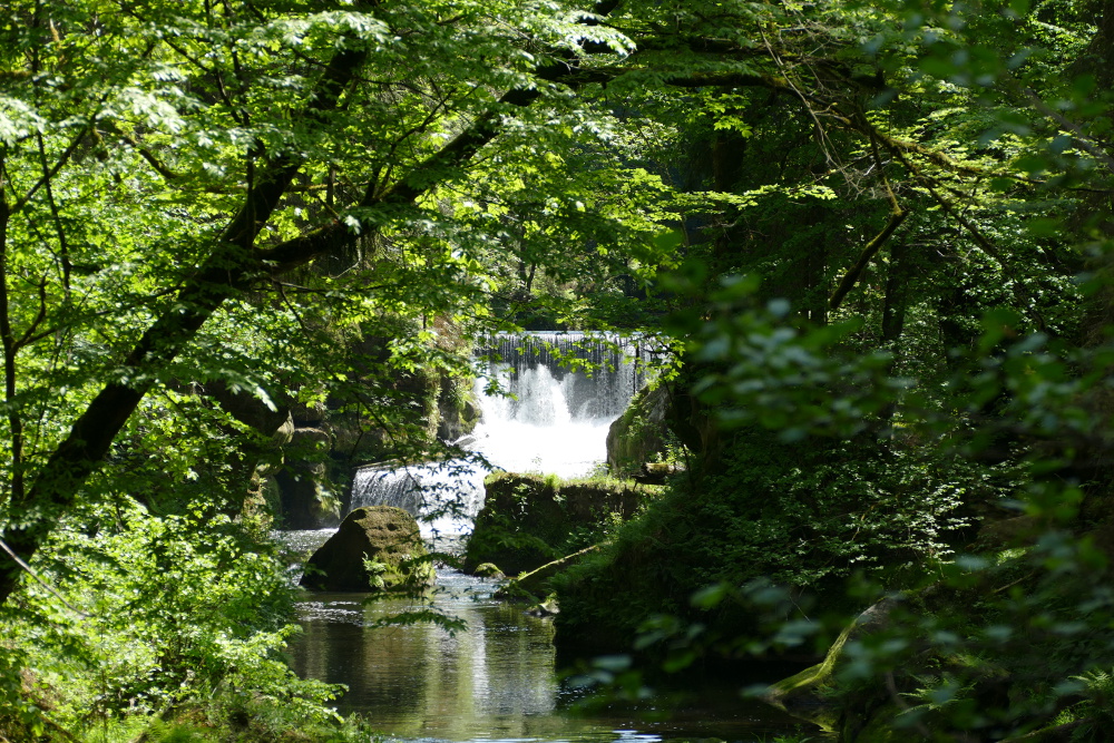 Prebischtor und Kamnitzklamm - In der Kamnitzklamm