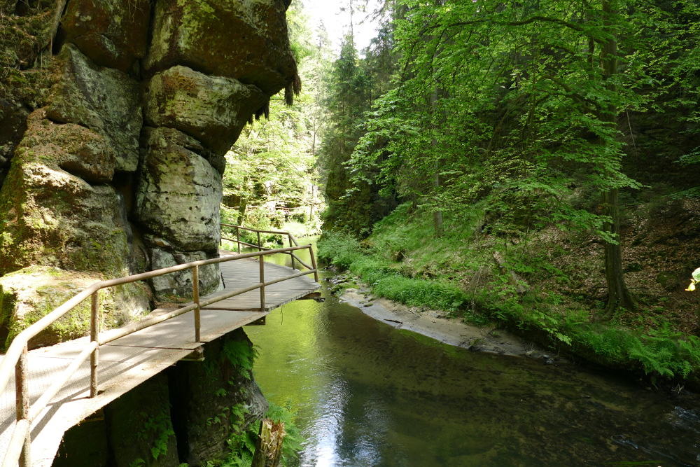Prebischtor und Kamnitzklamm - In der Kamnitzklamm
