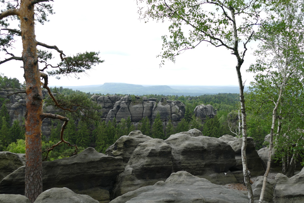 Stiegentour: Wilde Hölle & Heilige Stiege - Auf dem Carolafelsen
