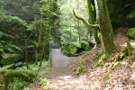 Malerweg #1 - Im Uttewalder Grund