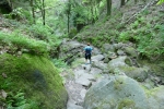 Malerweg #3 - In der Dorfbachklamm