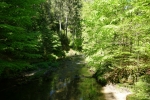 Malerweg #5 - Im Kirnitzschtal