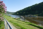 Malerweg #5 - Die Elbe bei Schmilka