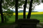 Malerweg #6 - Bei Kleinhennersdorf