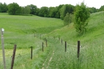 Malerweg #8 - Wiesenweg nach Naundorf