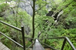 Stiegentour: Wilde Hölle & Heilige Stiege - Heilige Stiege