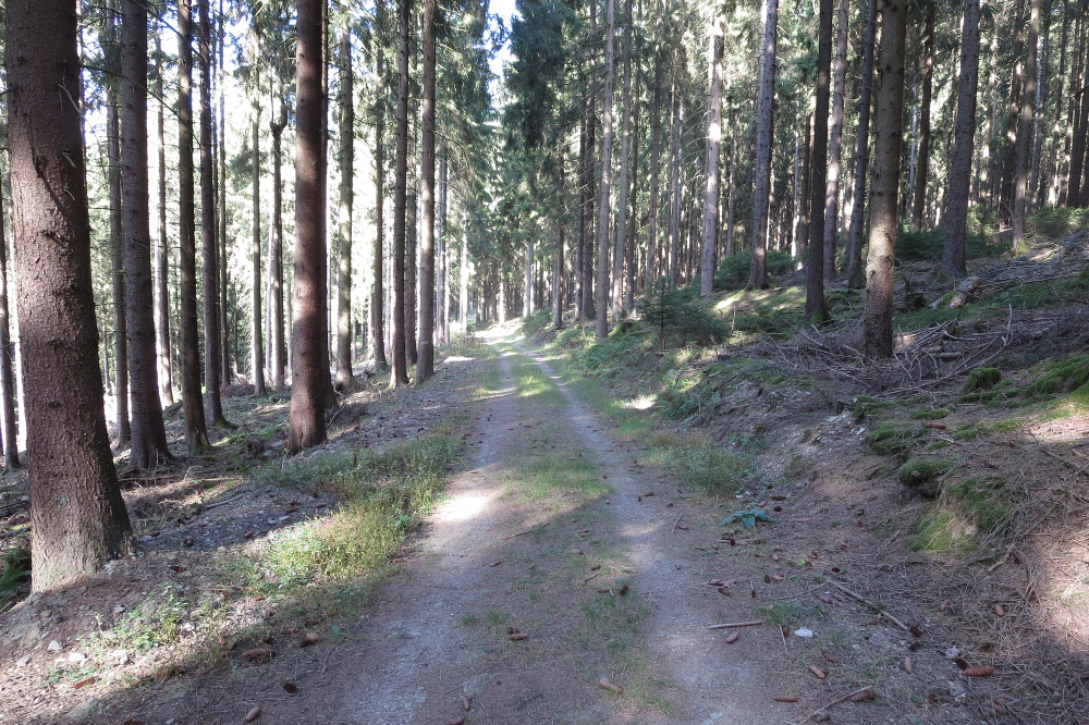 Erlebniswege Sieg - Erzquellweg - Mudersbach