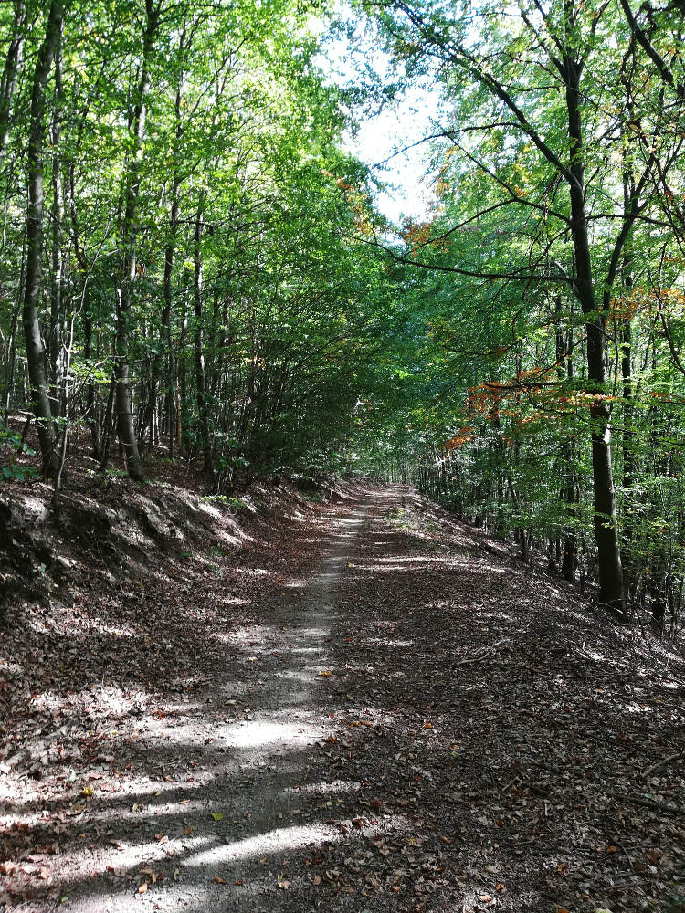 Erlebniswege Sieg - Erzquellweg - Mudersbach
