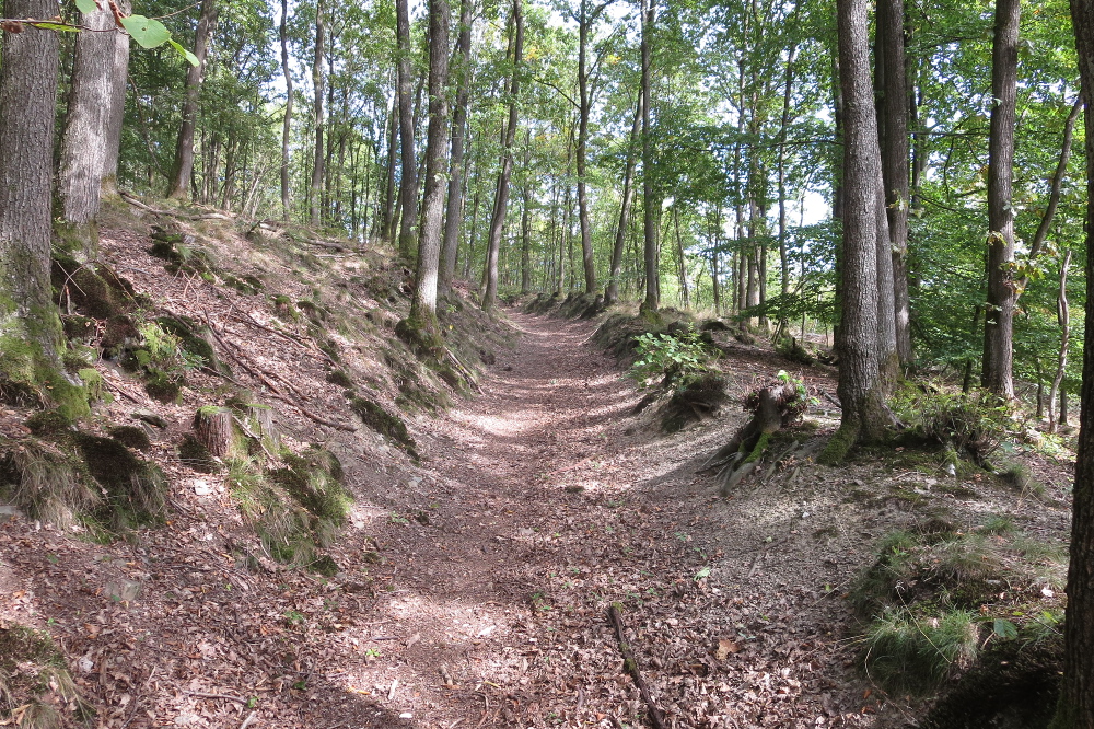 Erlebniswege Sieg - Erzquellweg - Mudersbach
