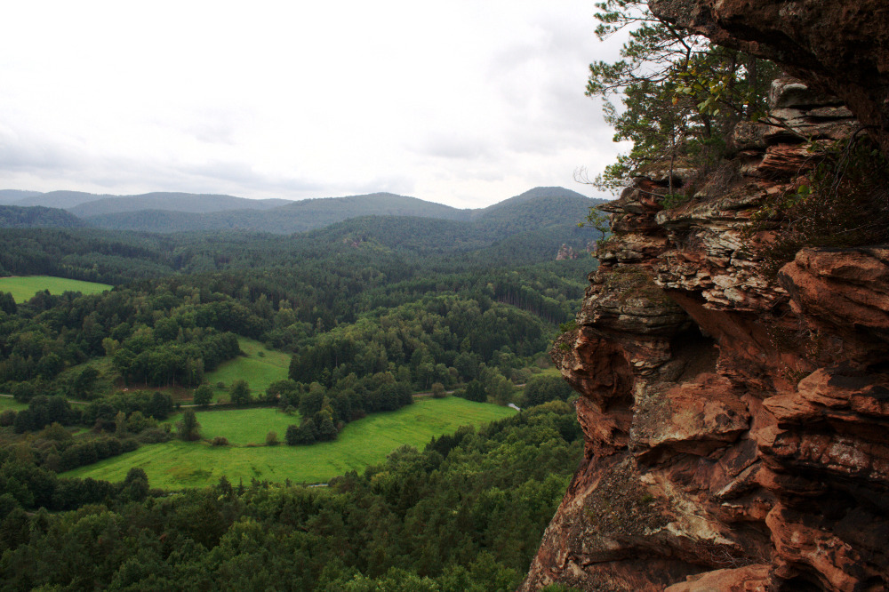Felsenland Sagenweg - Am Hochsteinmassiv