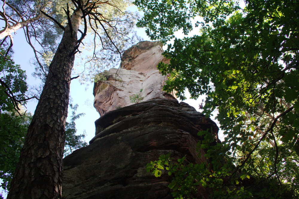 Felsenland Sagenweg - Burg Drachenfels