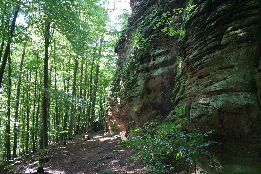 Felsenland Sagenweg - Fladensteine