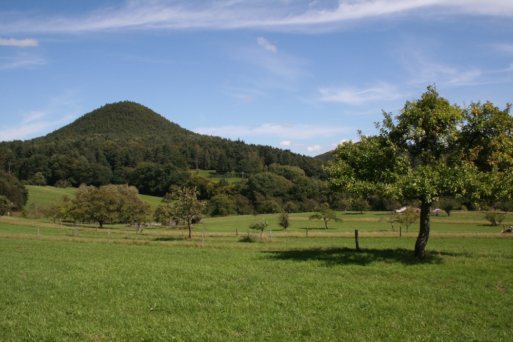 Felsenland Sagenweg - Bei Nothweiler