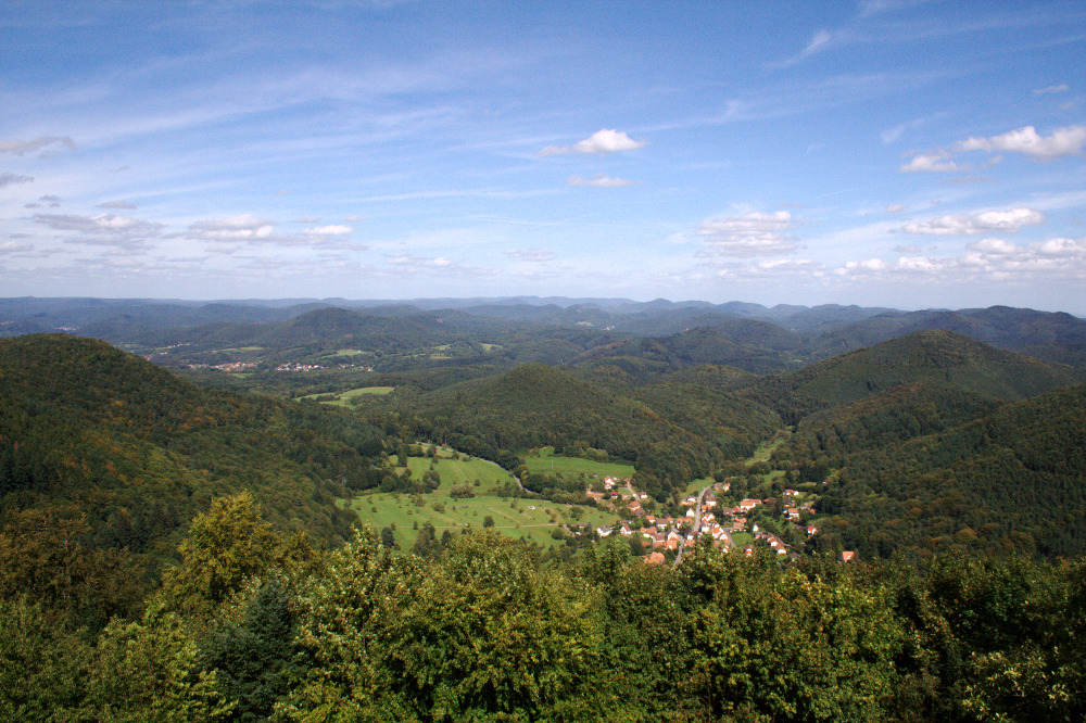 Felsenland Sagenweg - Nothweiler von der Wegelnburg