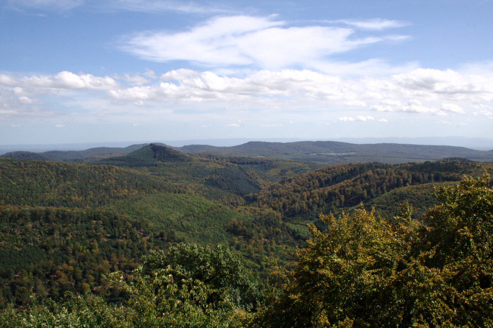 Felsenland Sagenweg - Pfälzerwald / Elsass