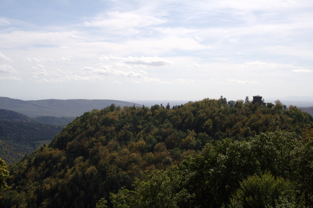 Felsenland Sagenweg - Die Hohenburg in Sichtweite