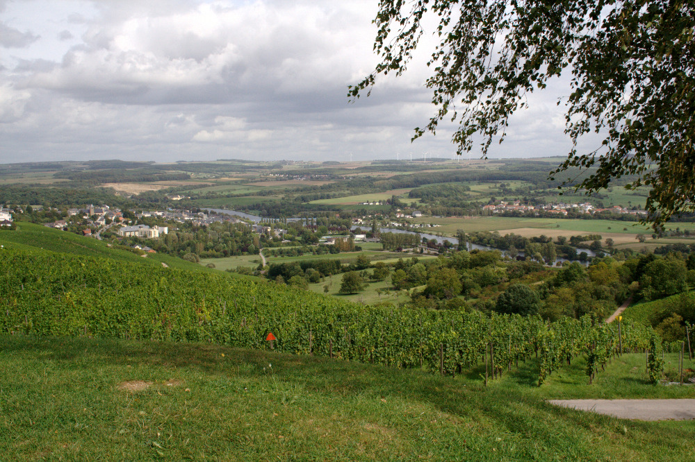 Felsenland Sagenweg - Ruhetag - Die Mosel in Luxemburg