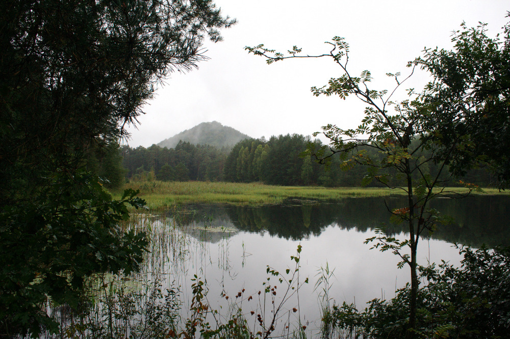 Felsenland Sagenweg - Pfälzerwoog