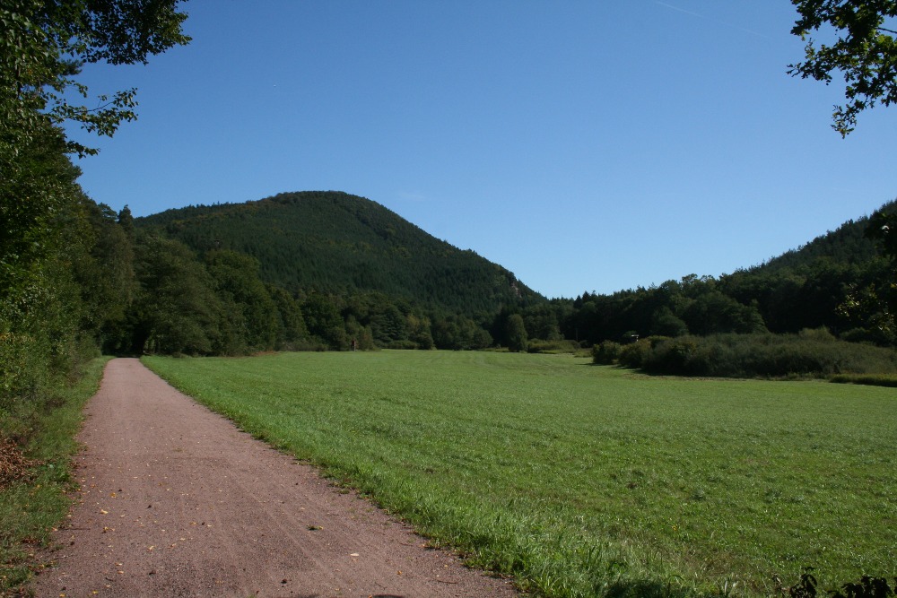 Felsenland Sagenweg - Kurz hinter Fischbach