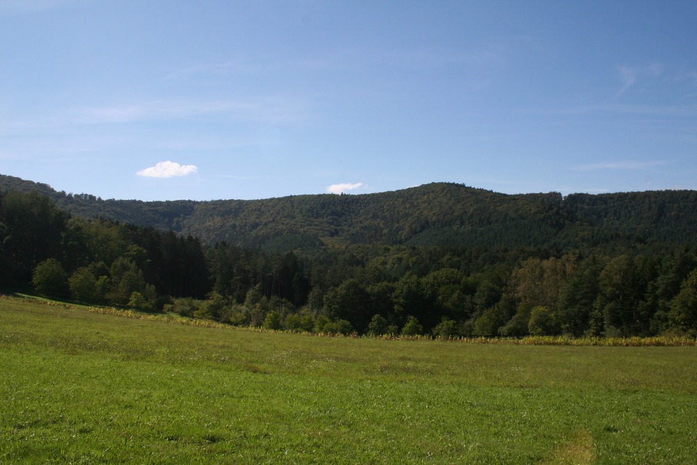Felsenland Sagenweg - Und nochmal Wald...