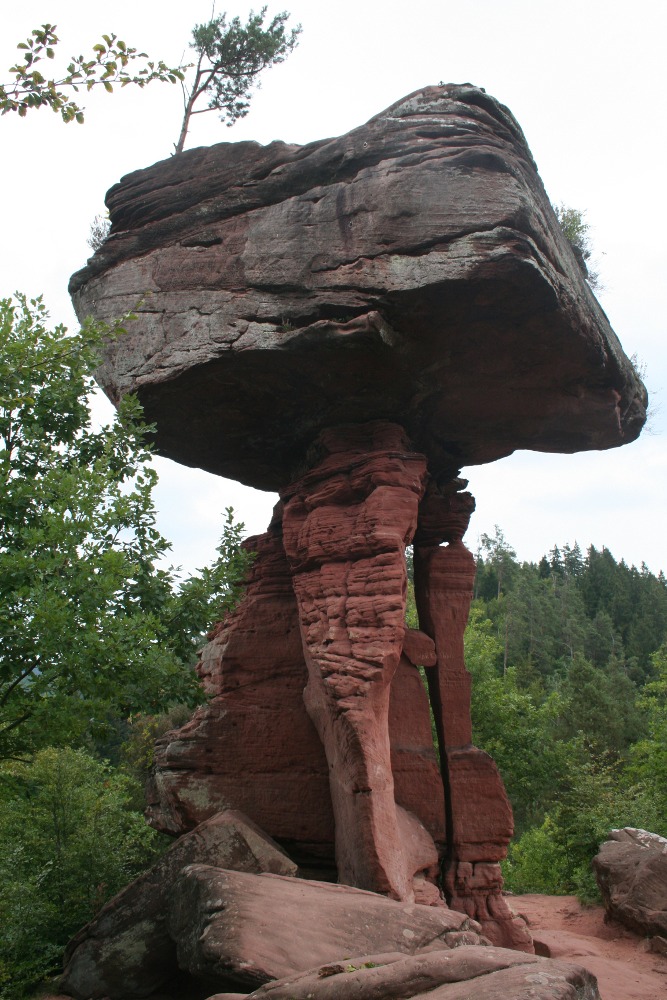 Felsenland Sagenweg - Teufelstisch