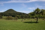 Felsenland Sagenweg - Bei Nothweiler