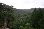 Felsenland Sagenweg - Viel, viel Wald...