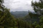 Felsenland Sagenweg - Noch mehr Wald...