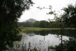 Felsenland Sagenweg - Pfälzerwoog