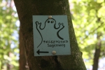 Felsenland Sagenweg - Der Geist vom Sagenweg