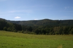 Felsenland Sagenweg - Und nochmal Wald...