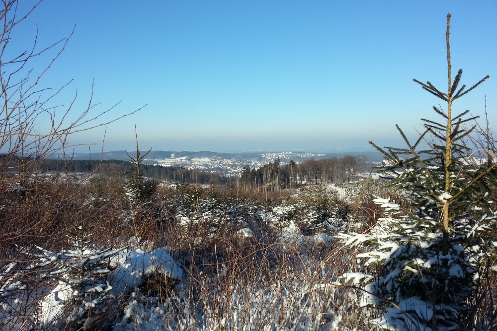 Rund um Nieringsen