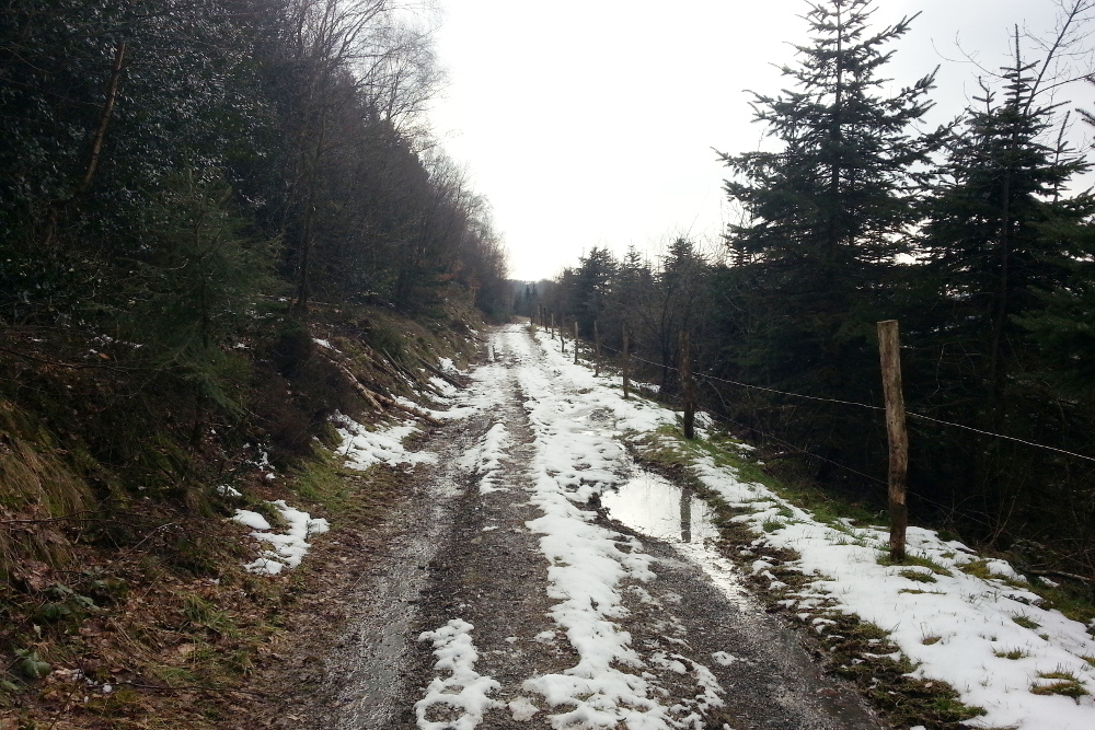 Wanderrunde durch die Elfringhauser Schweiz